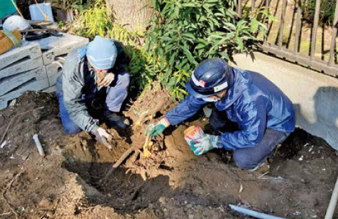 「木のお医者さん」が守るのは自然と歴史と人の思い
